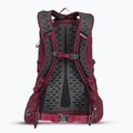 Gregory Kiro 22 l Amethyst lila Wanderrucksack 3