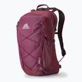 Gregory Kiro 22 l Amethyst lila Wanderrucksack 6