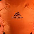 Skirucksack Gregory Targhee FT 24 orange 139431 4