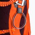 Skirucksack Gregory Targhee FT 24 orange 139431 7