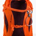 Skirucksack Gregory Targhee FT 24 orange 139431 9