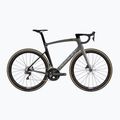 Ridley Noah Fast Disc Rennrad grau SBINFDRID100