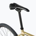 Ridley Kanzo C ADV GRX800 2x11sp Inspired 1 gold CONFIG011167 Schotterrad 5