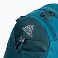 Gregory Maya 22 l Wanderrucksack blau 111478 5