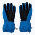 Kinder-Skihandschuhe LEGO Lwazun 705 blau 11010250 3