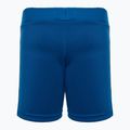 Kinder-Trekking-Shorts LEGO Lwpandum 300 blau 2