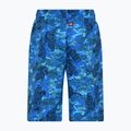 Kinder Schwimmen Shorts LEGO Lwalex 35 blau 111678 2