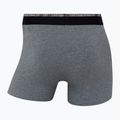 Boxershorts Herren CR7 Basic Trunk 10 Paar multicolur 11
