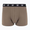 Boxershorts Herren CR7 Basic Trunk 5 Paar 2414 multicolur 3