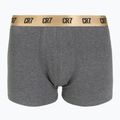 Herren Boxershorts CR7 Basic Trunk 6er-Pack multicolour 4