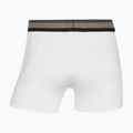 Herren Boxershorts CR7 Fashion Trunk 5 Paar multicolour 10