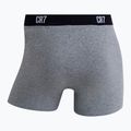 Herren Boxershorts CR7 Basic Trunk 7 Paar 2820 multicolor 14