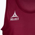 Junior-Fußballmarkierer SELECT Basic kastanienbraun 6841002997 3