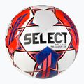 SELECT Brillant Training DB v23 120069 Größe Fußball 2