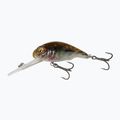 Savage Gear 3D Goby Baitt brauner Wobbler 62164