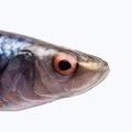 SavageGear LB 4D Hering Shad Gummiköder Rotauge 63663 2