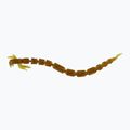 Westin BloodTeez Worm Teez Gummiköder 8 Stück Motoröl gold P001-309-006