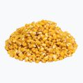 Carp Target Scopex 0008 Angelmais 2