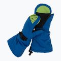 Viking Nomadic GTX Skihandschuh blau 165239336