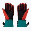 Skihandschuhe Herren Viking Brother Louis grün-rot 11/24/6226 2