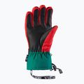 Skihandschuhe Herren Viking Brother Louis grün-rot 11/24/6226 6