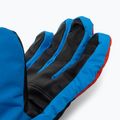 Skihandschuhe Damen Viking Cool Daddy bunt 11/24/6336 5