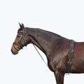 Yorker Pferdeleder Chambone schwarz 180202