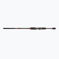 DRAGON Fishing Express Spinn 25 Spinnrute