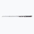 DRAGON Fishing G.P.Concept Jerk 80H Spinnrute