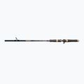 DRAGON Fishing G.P.Concept Jerk 80H Spinnrute 2