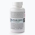 Alpha GPC 7Nutrition Gedächtnis und Konzentration 60 Kapseln 7Nu000436 2