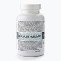 Shilajit Mumio 7Nutrition Immunsystem 400mg 120 Kapseln 7Nu000456 2