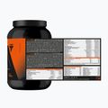 Kohlenhydrat-Eiweiß-ErgänzungsmittelTrec Endu Recovery Shake 1000 g Vanille 2