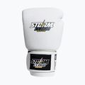 Boxhandschuhe StormCloud Blizzard white/black 2