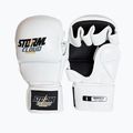 Grappling-Handschuhe StormCloud Hurricane white/black