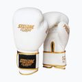 Boxhandschuhe StormCloud Boxing Pro white/gold
