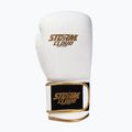 Boxhandschuhe StormCloud Boxing Pro white/gold 2