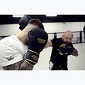 Boxhandschuhe StormCloud Boxing Pro black/gold 12