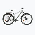 Mountainbike KROSS Hexagon 4.0 EQ 29" silver/green/gloss