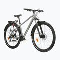 Mountainbike KROSS Hexagon 4.0 EQ 29" silver/green/gloss 2