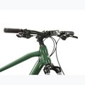 Mountainbike KROSS Hexagon 4.0 EQ 29" Grün/Silber/Glanz 4