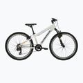 Kinderfahrrad KROSS Dust Jr 1.0 grey/black/gloss