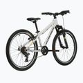Kinderfahrrad KROSS Dust Jr 1.0 grey/black/gloss 3