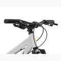 Kinderfahrrad KROSS Dust Jr 1.0 grey/black/gloss 4