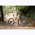 Damen-Mountainbike KROSS Level 6.0 beige/brown/gloss 13
