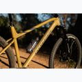 Mountainbike KROSS Level 6.0 brown/graphite 17