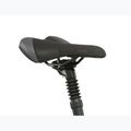 Damen Citybike KROSS Move 2.0 In graphite/silver/gloss 11