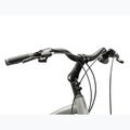 Herren-Trekkingrad KROSS Trans 3.0 silver/blue/gloss 4