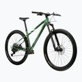 Mountainbike KROSS Level 5.0 green/green/gloss 2