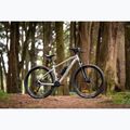 Mountainbike KROSS Hexagon 5.0 27.5" 2025 grey/grey/gloss 13